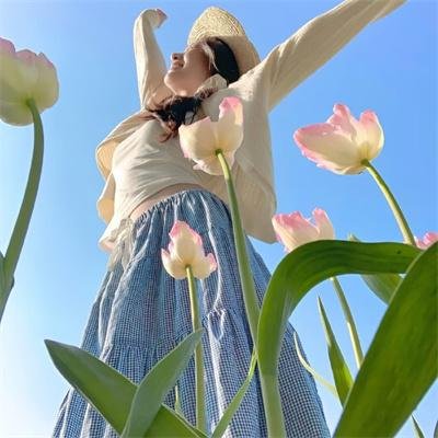 都铎王朝第三季